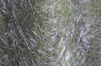 Wyverstone Green fibreglass roof work